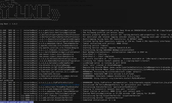 لقطة طرفية من دليل Docker الرسمي تعرض سجلات تشغيل تطبيق Spring Petclinic